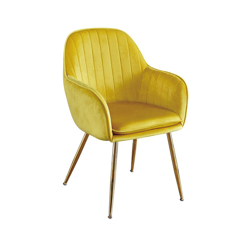 Lara Dining Chair With Gold Legs (Pack of 2)